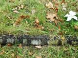 image of grave number 292307